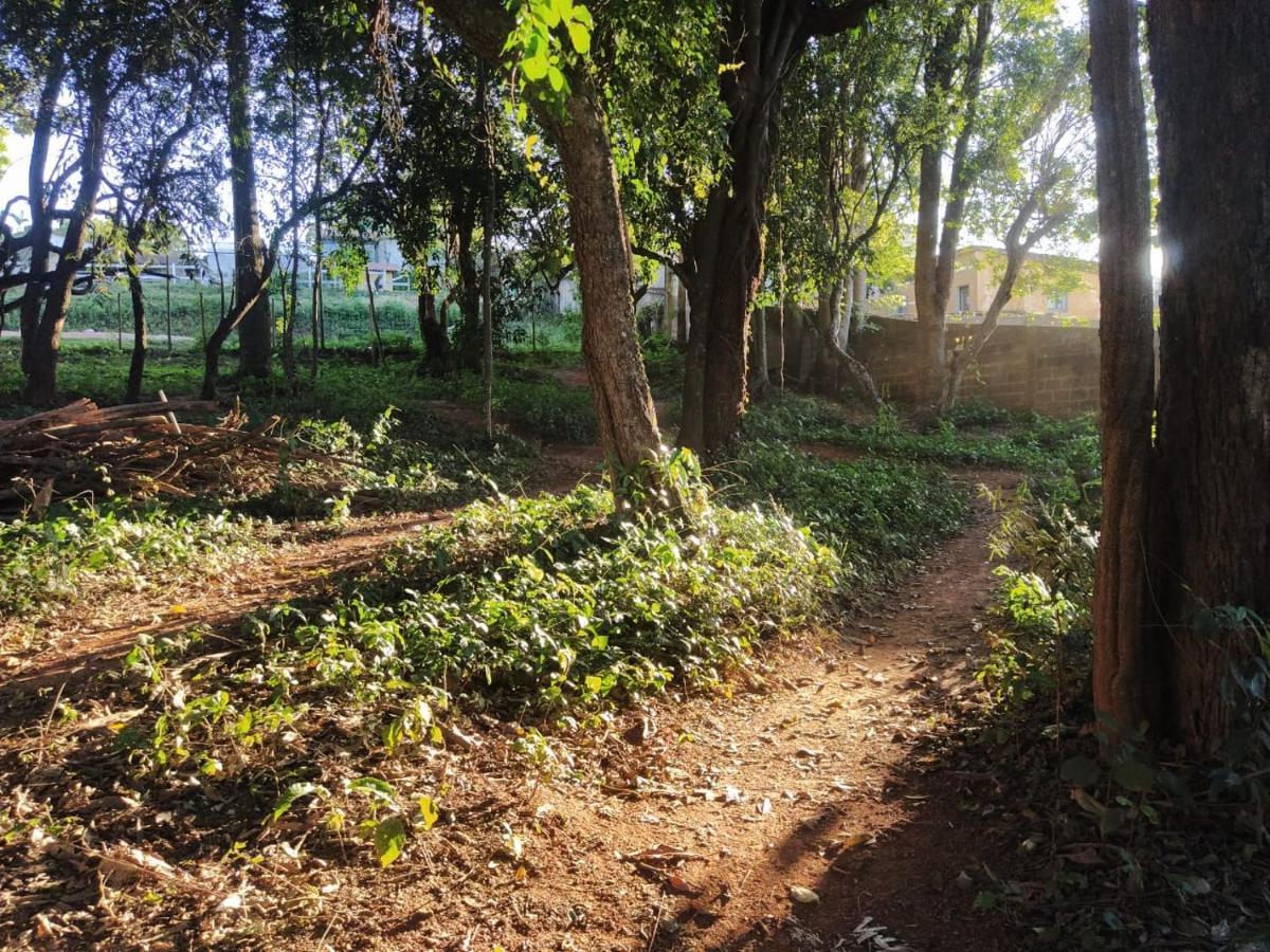 Vereda Bike Park Hotel São João del Rei エクステリア 写真