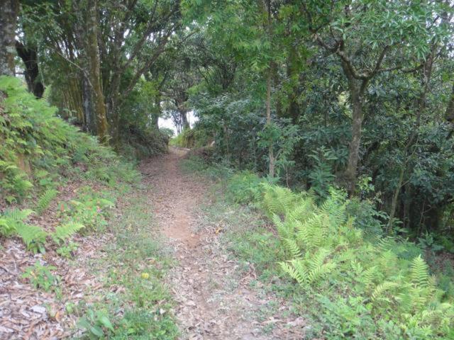 Vereda Bike Park Hotel São João del Rei エクステリア 写真